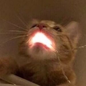 Meet your Posher, Pretty fr*ckin